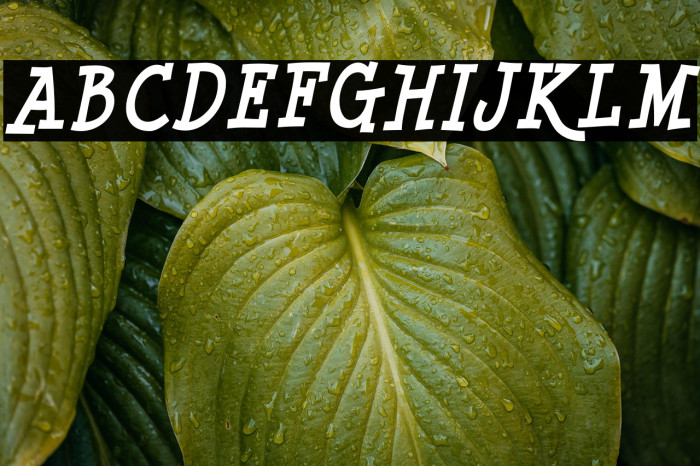 MinyaNouvelle-BoldItalic Example 2