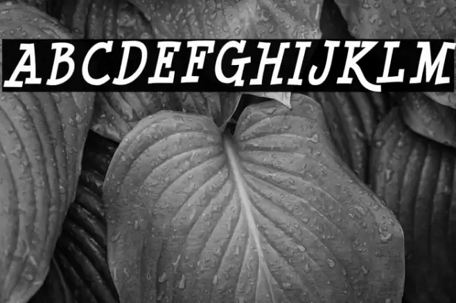 MinyaNouvelle-BoldItalic Font examples