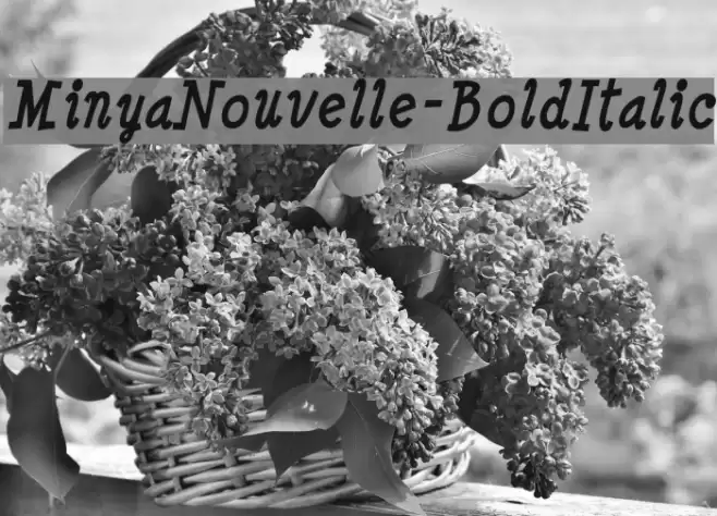 MinyaNouvelle-BoldItalic Font examples