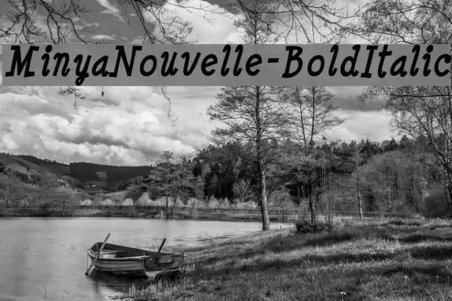 MinyaNouvelle-BoldItalic Font examples
