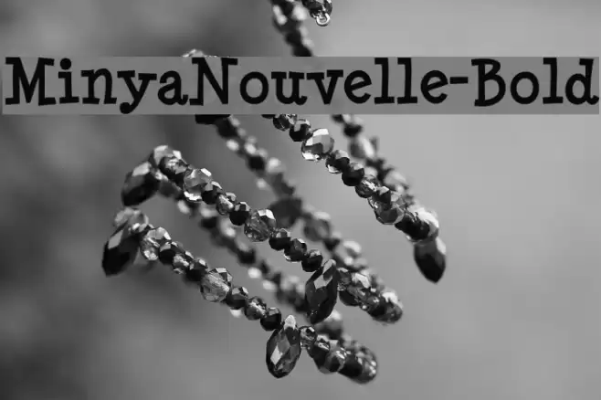 MinyaNouvelle-Bold Font examples