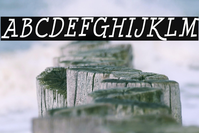 MinyaNouvelle-Italic Example 3