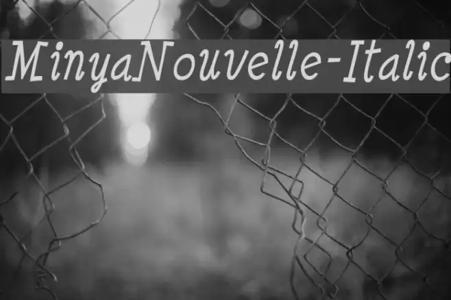 MinyaNouvelle-Italic Font examples
