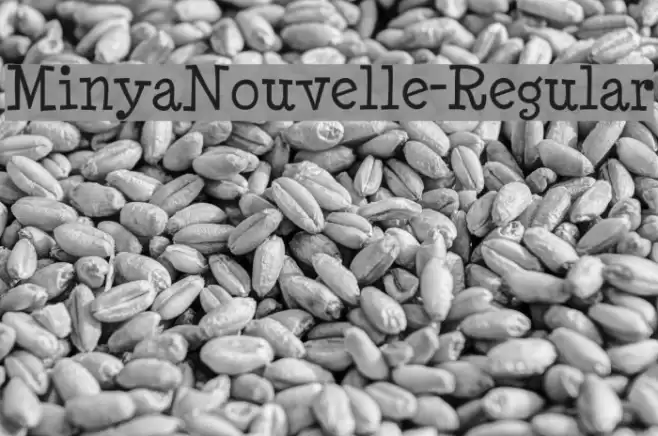 MinyaNouvelle-Regular Font examples