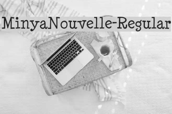 MinyaNouvelle-Regular Font examples