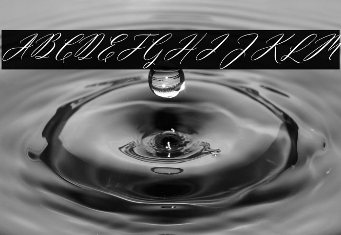 MiolletaScript Example 3