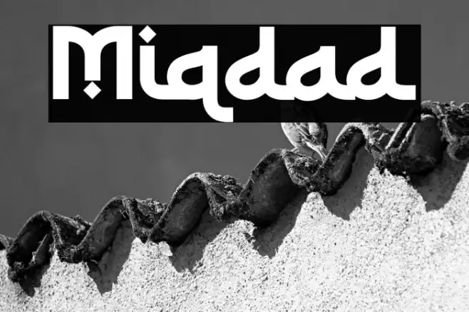 Miqdad Example 2