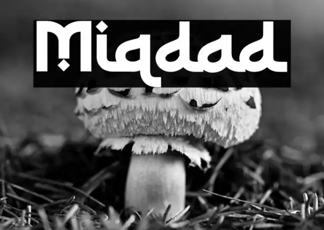 Miqdad Example 3