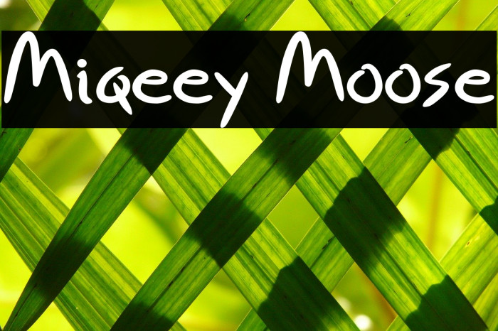 Miqeey Moose Font examples