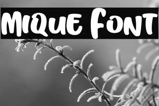 Mique Font examples