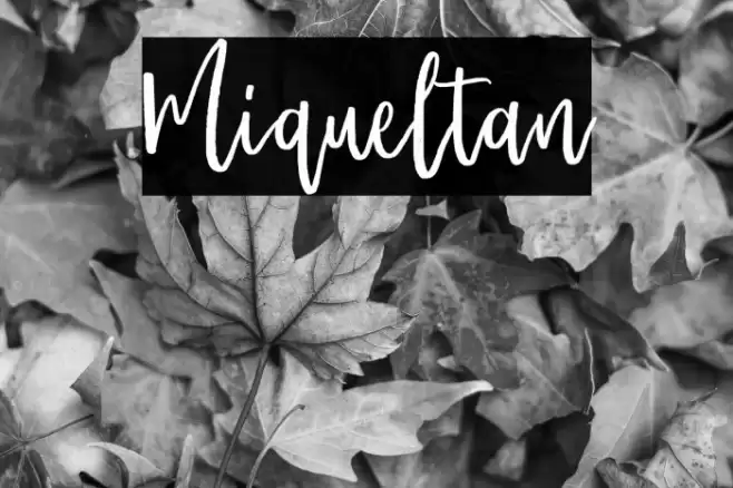 Miqueltan Font examples