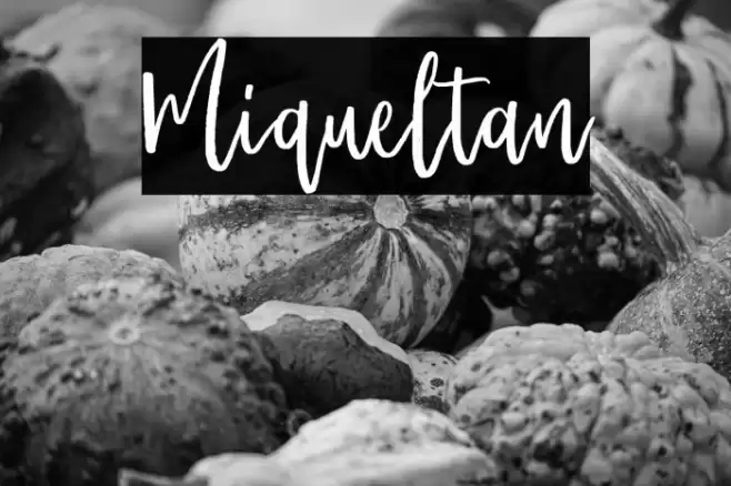 Miqueltan Font examples