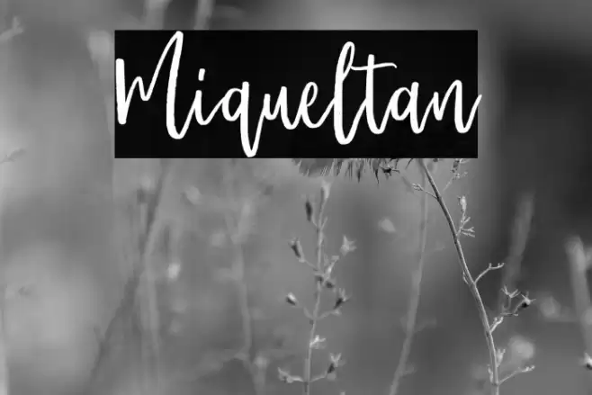 Miqueltan Font examples
