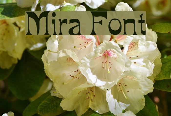 Mira फ़ॉन्ट examples
