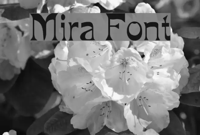 Mira Font examples