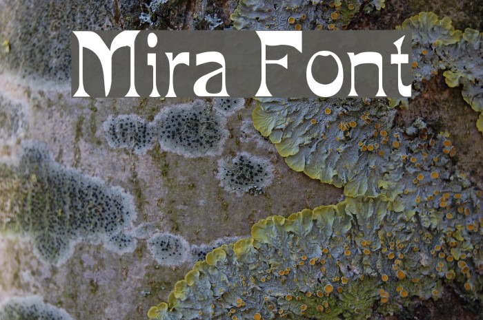 Mira फ़ॉन्ट examples