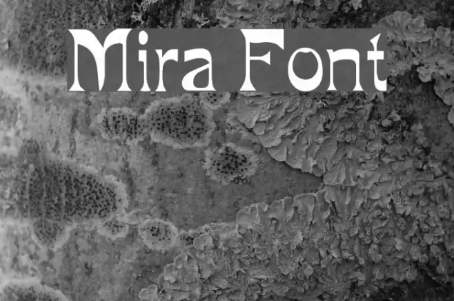 Mira Font examples