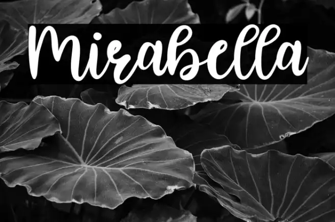 Mirabella Example 3
