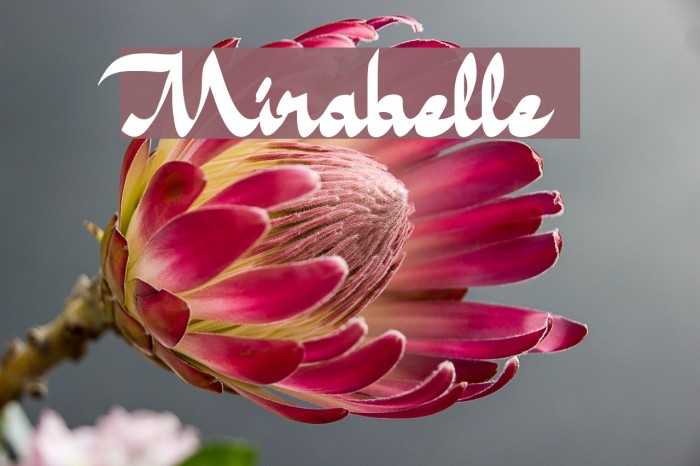 Mirabelle Example 3