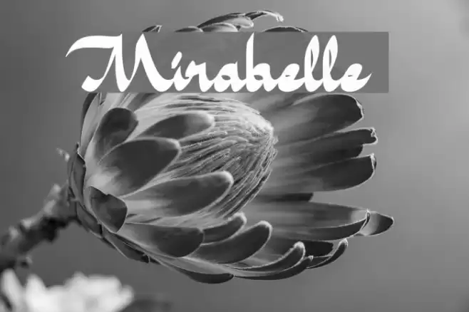 Mirabelle Font examples