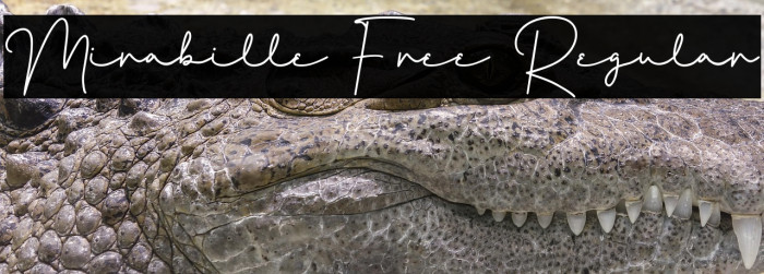 Mirabille Free Regular Example 3