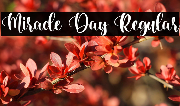 Miracle Day Regular Example 3