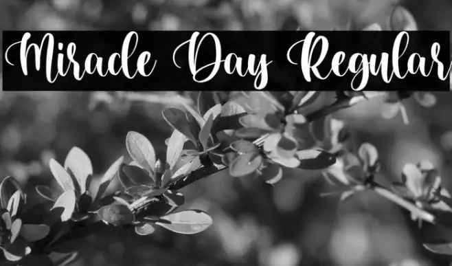 Miracle Day Regular Example 3