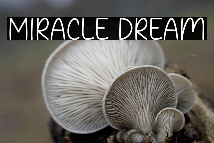 Miracle Dream Example 2