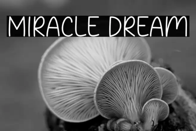 Miracle Dream Font examples