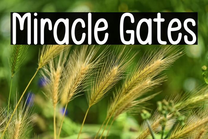 Miracle Gates Example 1