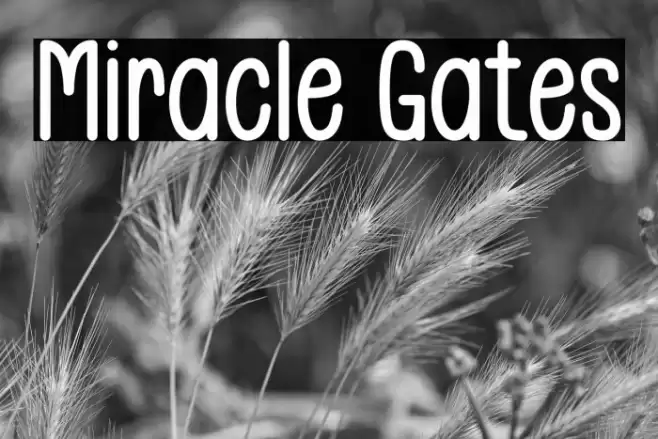 Miracle Gates خط examples