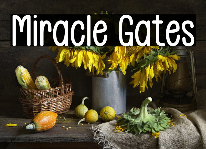 Miracle Gates Example 2