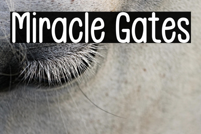 Miracle Gates Example 3
