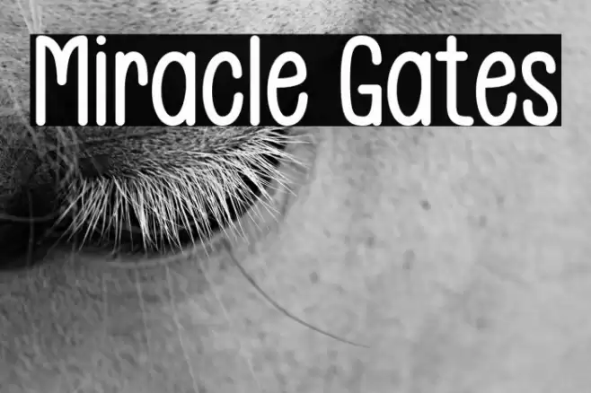 Miracle Gates خط examples