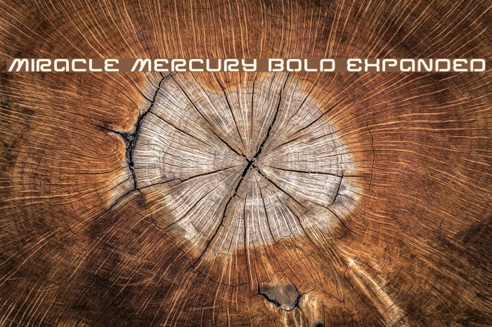 Miracle Mercury Bold Expanded Font examples