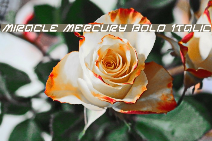 Miracle Mercury Bold Italic Example 2