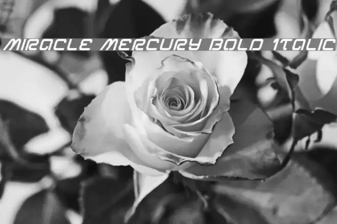 Miracle Mercury Bold Italic Font examples