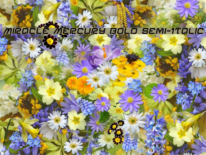 Miracle Mercury Bold Semi-Italic Example 3
