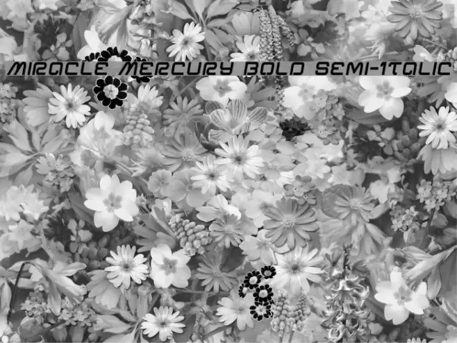 Miracle Mercury Bold Semi-Italic Font examples