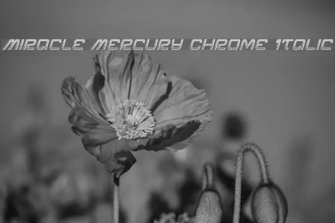 Miracle Mercury Chrome Italic Example 1