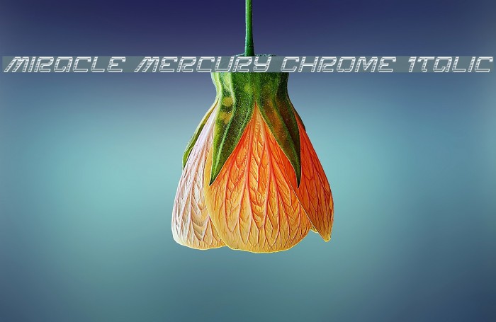 Miracle Mercury Chrome Italic Font examples