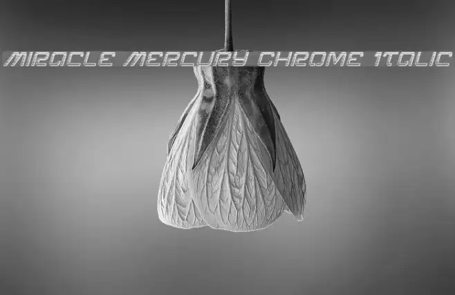 Miracle Mercury Chrome Italic Example 3