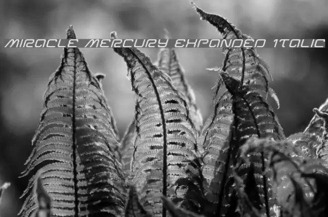 Miracle Mercury Expanded Italic Font examples