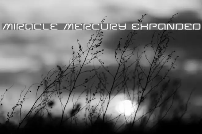 Miracle Mercury Expanded Example 2