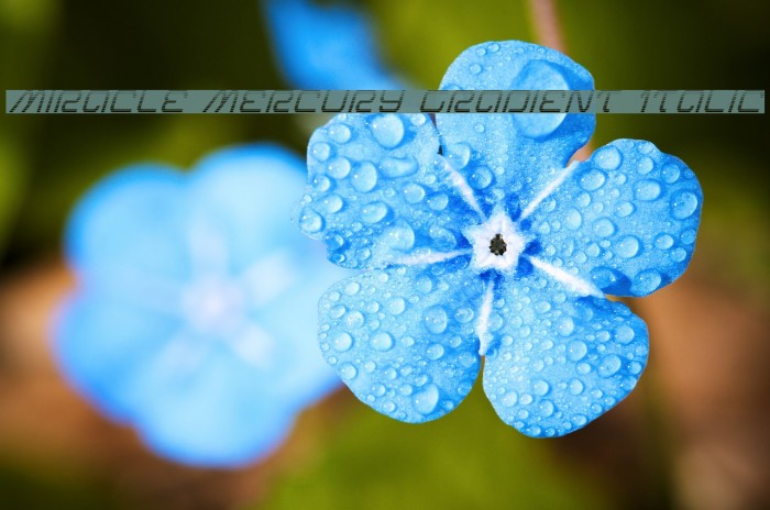 Miracle Mercury Gradient Italic Font examples