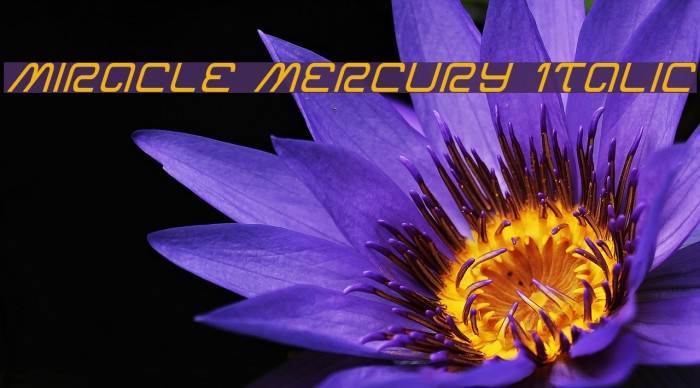 Miracle Mercury Italic Example 1