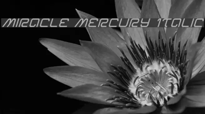 Miracle Mercury Italic Font examples