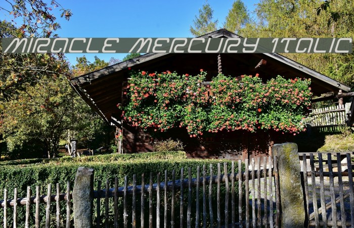 Miracle Mercury Italic Example 3