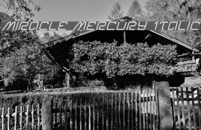 Miracle Mercury Italic Font examples
