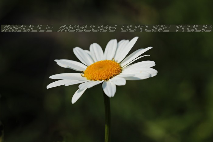 Miracle Mercury Outline Italic Font examples